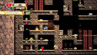 Foxman Plays: Spelunky – Episode 54 – Forget-Me-Not