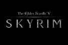 Terrible Things about Skyrim